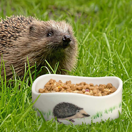 Igel Futterschale mit Igelchen