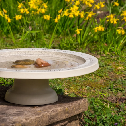 Vogeltränke auf kleinem Standfuss