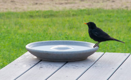 Vogeltränke Granicium® Denk-Keramik