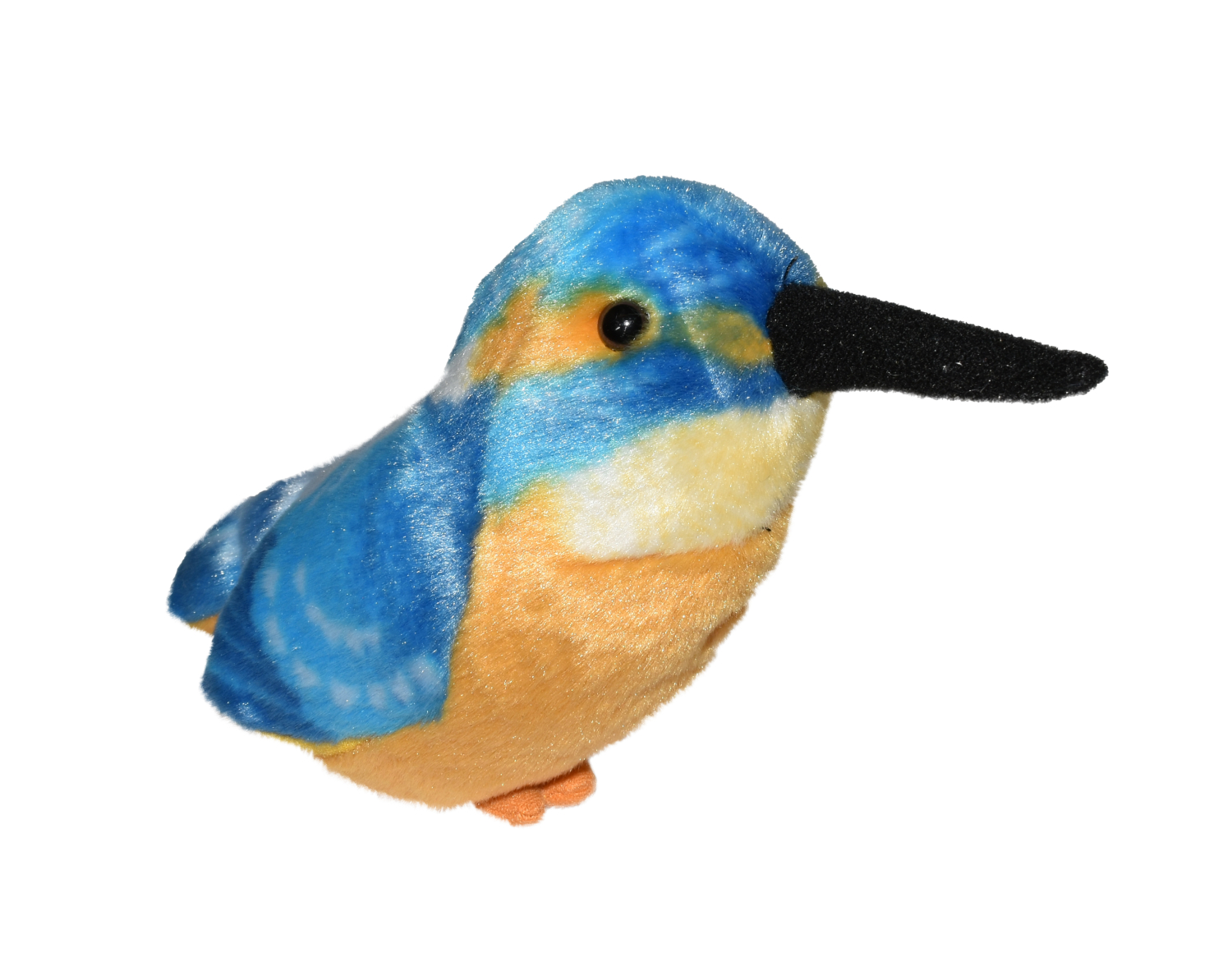 Eisvogel