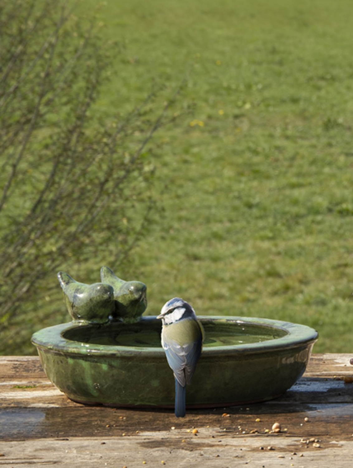 Vogeltränke Keramik rund